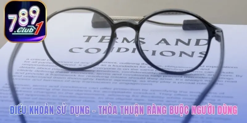 Điều khoản sử dụng thiết lập cơ sở pháp lý vững chắc